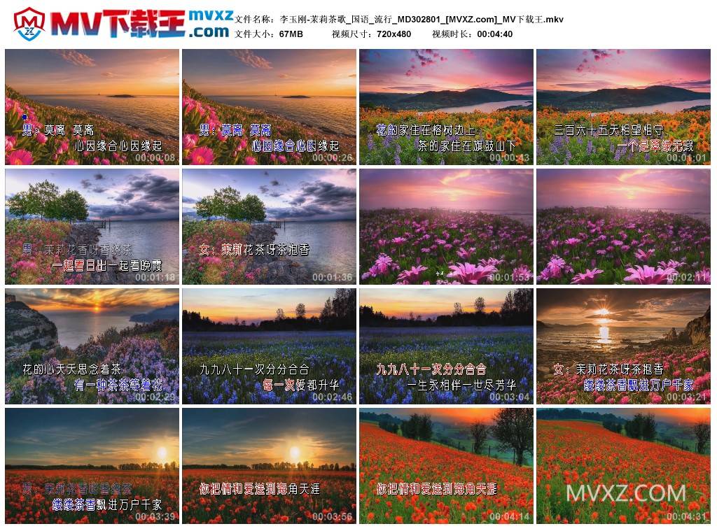 李玉刚-茉莉茶歌_国语_流行_MD302801